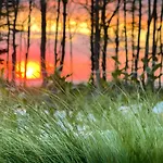 Cliff - Sea View *