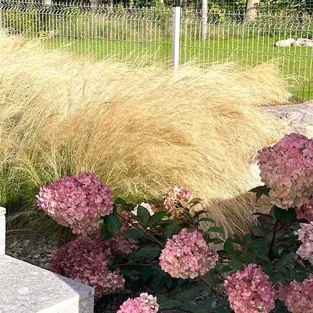 Cliff - Sea View Appartamento