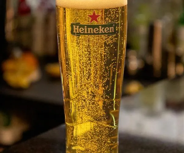 Cliff - Sea View 아파트 *