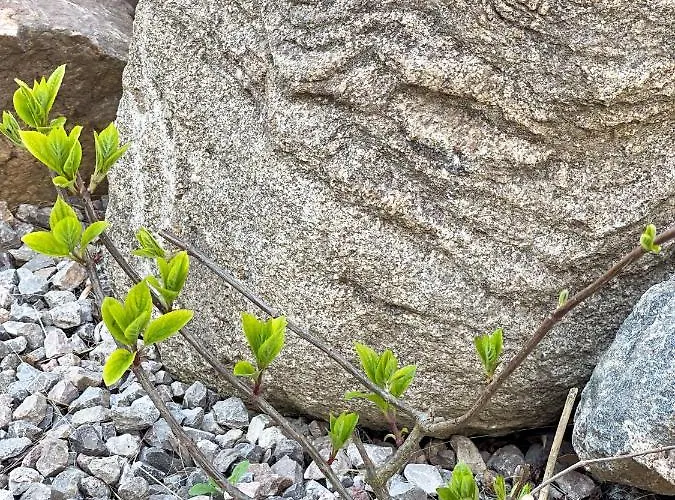 Cliff - Sea View 아파트 *