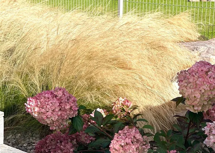 Cliff - Sea View 아파트